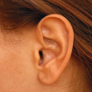 ear