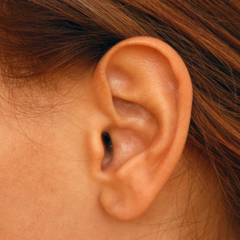 ear